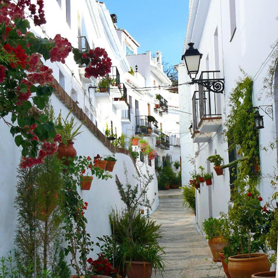 Nerja Paradise Rentals - Villa Cataleya Фріхіліана Екстер'єр фото